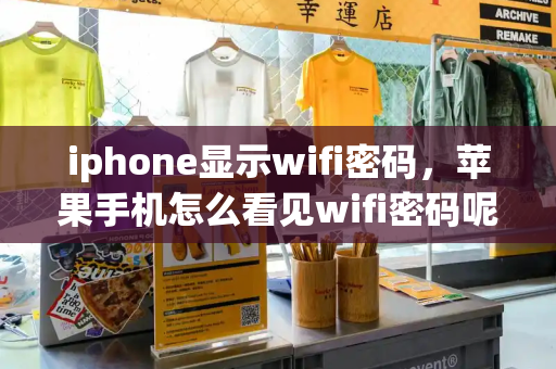 iphone显示wifi密码，苹果手机怎么看见wifi密码呢