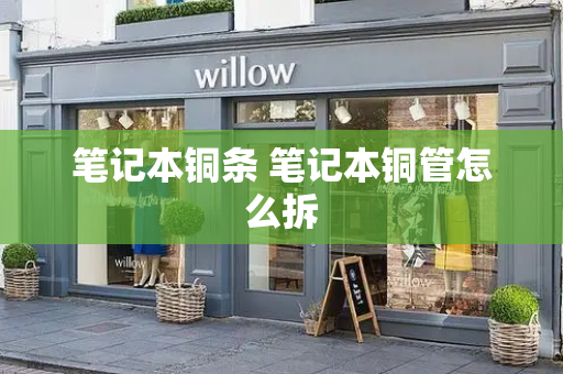 笔记本铜条 笔记本铜管怎么拆-第1张图片-星选测评