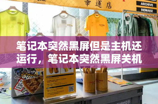 笔记本突然黑屏但是主机还运行，笔记本突然黑屏关机-第1张图片-星选测评