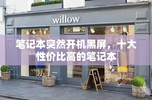 笔记本突然开机黑屏，十大性价比高的笔记本-第1张图片-星选测评