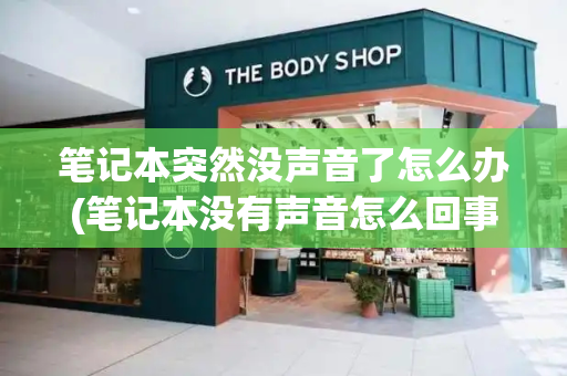 笔记本突然没声音了怎么办(笔记本没有声音怎么回事)-第1张图片-星选测评