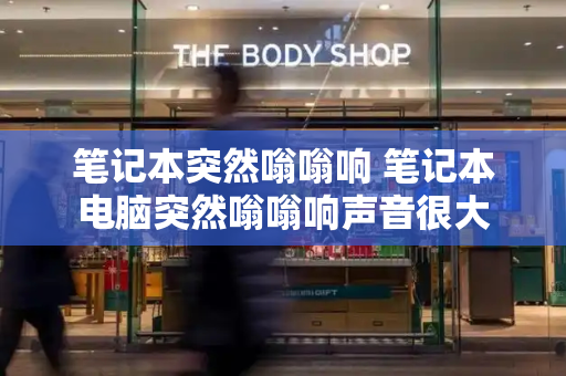 笔记本突然嗡嗡响 笔记本电脑突然嗡嗡响声音很大