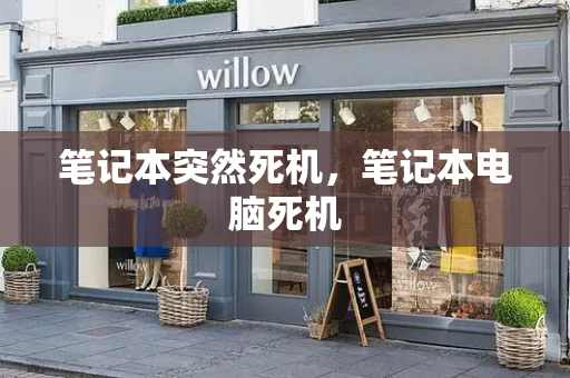笔记本突然死机，笔记本电脑死机