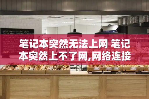 笔记本突然无法上网 笔记本突然上不了网,网络连接正常-第1张图片-星选测评