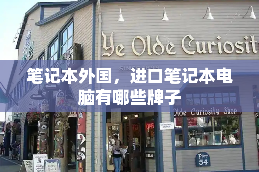 笔记本外国，进口笔记本电脑有哪些牌子
