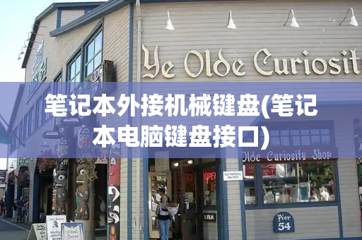 笔记本外接机械键盘(笔记本电脑键盘接口)-第1张图片-星选测评