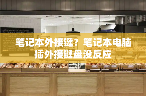 笔记本外接键？笔记本电脑插外接键盘没反应-第1张图片-星选测评