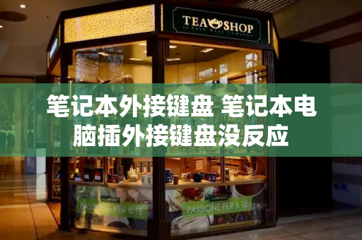 笔记本外接键盘 笔记本电脑插外接键盘没反应