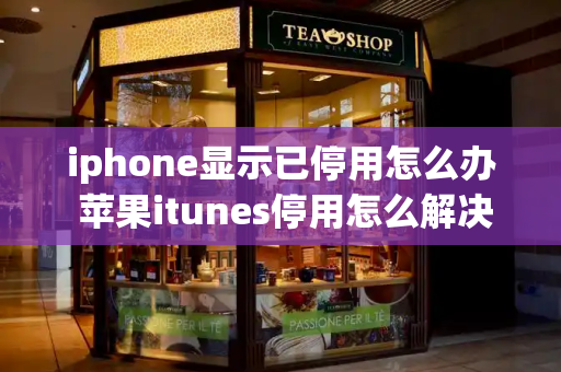 iphone显示已停用怎么办 苹果itunes停用怎么解决-第1张图片-星选测评