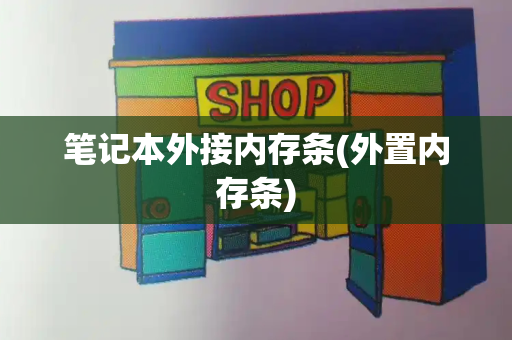 笔记本外接内存条(外置内存条)-第1张图片-星选测评
