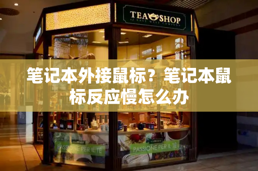 笔记本外接鼠标？笔记本鼠标反应慢怎么办