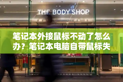 笔记本外接鼠标不动了怎么办？笔记本电脑自带鼠标失灵
