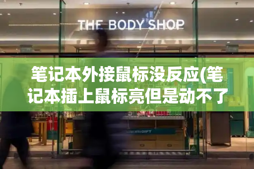 笔记本外接鼠标没反应(笔记本插上鼠标亮但是动不了)-第1张图片-星选测评
