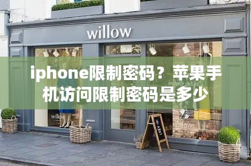 iphone限制密码？苹果手机访问限制密码是多少