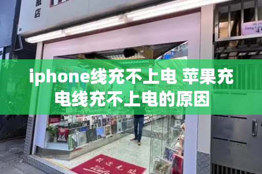 iphone线充不上电 苹果充电线充不上电的原因-第1张图片-星选测评