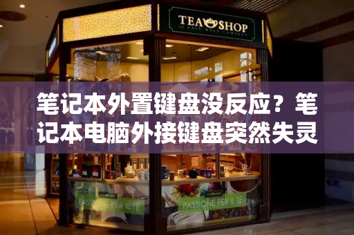 笔记本外置键盘没反应？笔记本电脑外接键盘突然失灵
