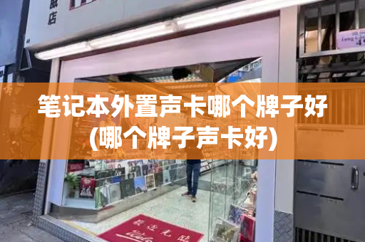笔记本外置声卡哪个牌子好(哪个牌子声卡好)