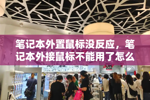 笔记本外置鼠标没反应，笔记本外接鼠标不能用了怎么办