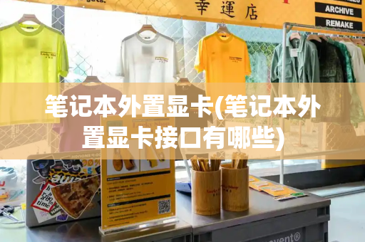 笔记本外置显卡(笔记本外置显卡接口有哪些)-第1张图片-星选测评