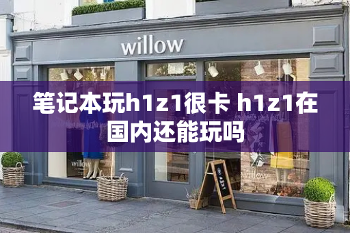 笔记本玩h1z1很卡 h1z1在国内还能玩吗