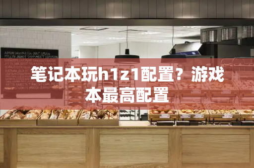 笔记本玩h1z1配置？游戏本最高配置