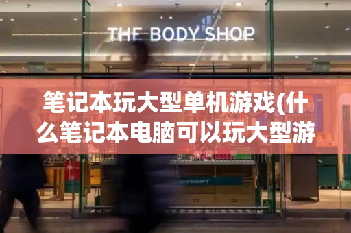 笔记本玩大型单机游戏(什么笔记本电脑可以玩大型游戏)