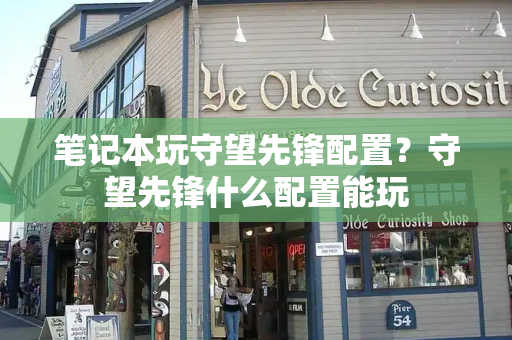 笔记本玩守望先锋配置？守望先锋什么配置能玩-第1张图片-星选测评