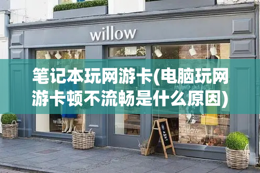 笔记本玩网游卡(电脑玩网游卡顿不流畅是什么原因)