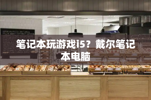 笔记本玩游戏i5？戴尔笔记本电脑-第1张图片-星选测评