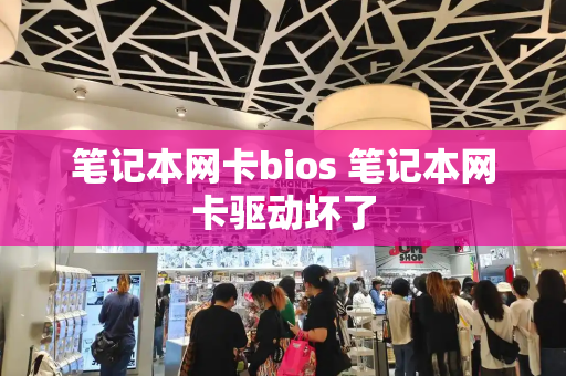 笔记本网卡bios 笔记本网卡驱动坏了