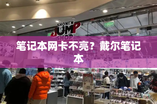 笔记本网卡不亮？戴尔笔记本-第1张图片-星选测评