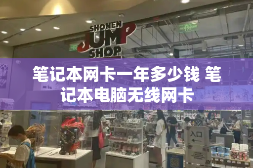 笔记本网卡一年多少钱 笔记本电脑无线网卡-第1张图片-星选测评