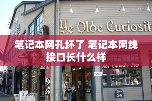 笔记本网孔坏了 笔记本网线接口长什么样