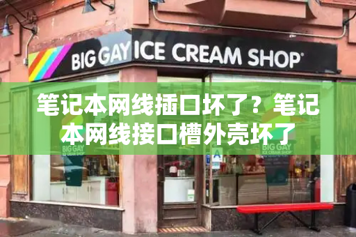 笔记本网线插口坏了？笔记本网线接口槽外壳坏了-第1张图片-星选测评