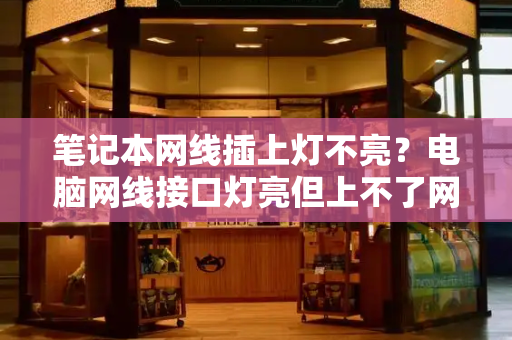 笔记本网线插上灯不亮？电脑网线接口灯亮但上不了网-第1张图片-星选测评