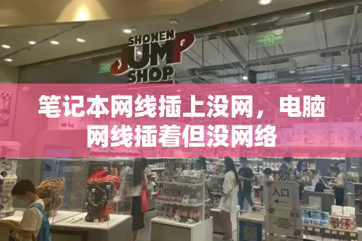 笔记本网线插上没网，电脑网线插着但没网络-第1张图片-星选测评