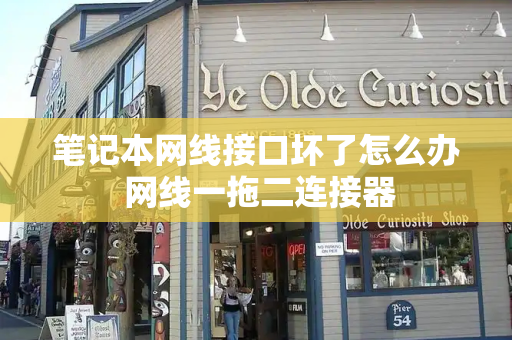笔记本网线接口坏了怎么办 网线一拖二连接器-第1张图片-星选测评
