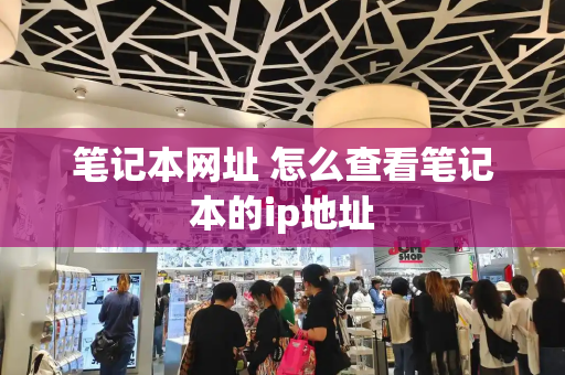 笔记本网址 怎么查看笔记本的ip地址-第1张图片-星选测评