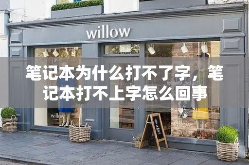 笔记本为什么打不了字，笔记本打不上字怎么回事-第1张图片-星选测评