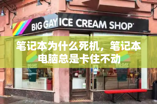 笔记本为什么死机，笔记本电脑总是卡住不动