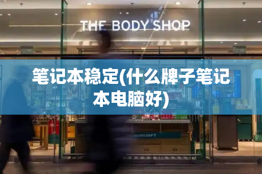 笔记本稳定(什么牌子笔记本电脑好)-第1张图片-星选测评