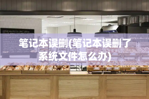 笔记本误删(笔记本误删了系统文件怎么办)