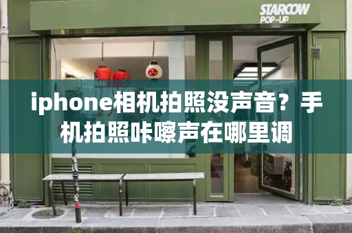 iphone相机拍照没声音？手机拍照咔嚓声在哪里调-第1张图片-星选测评