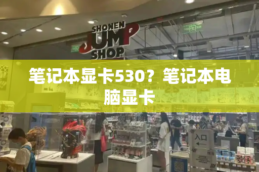笔记本显卡530？笔记本电脑显卡-第1张图片-星选测评
