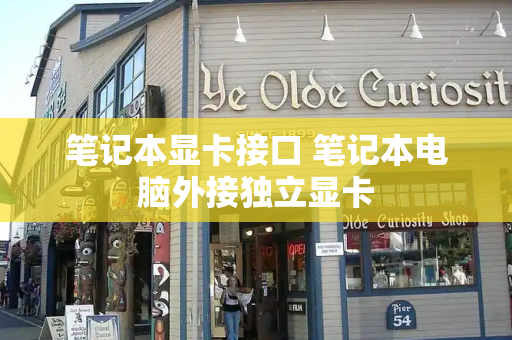 笔记本显卡接口 笔记本电脑外接独立显卡