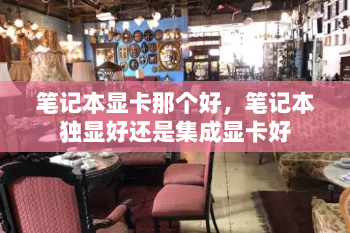 笔记本显卡那个好，笔记本独显好还是集成显卡好