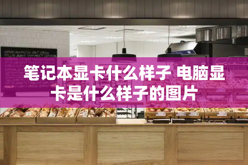 笔记本显卡什么样子 电脑显卡是什么样子的图片