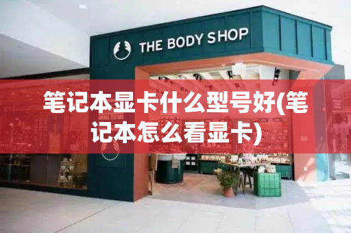 笔记本显卡什么型号好(笔记本怎么看显卡)