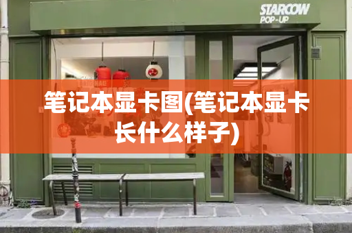 笔记本显卡图(笔记本显卡长什么样子)-第1张图片-星选测评