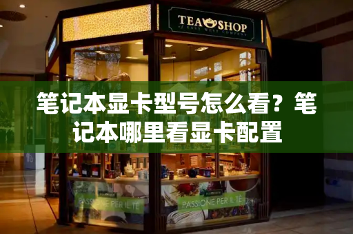 笔记本显卡型号怎么看？笔记本哪里看显卡配置-第1张图片-星选测评
